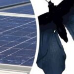 alas de mariposa en los paneles solares
