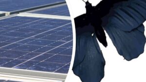 alas de mariposa en los paneles solares