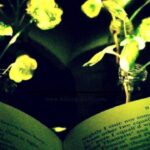 MIT Ingenieros crean plantas que brillan