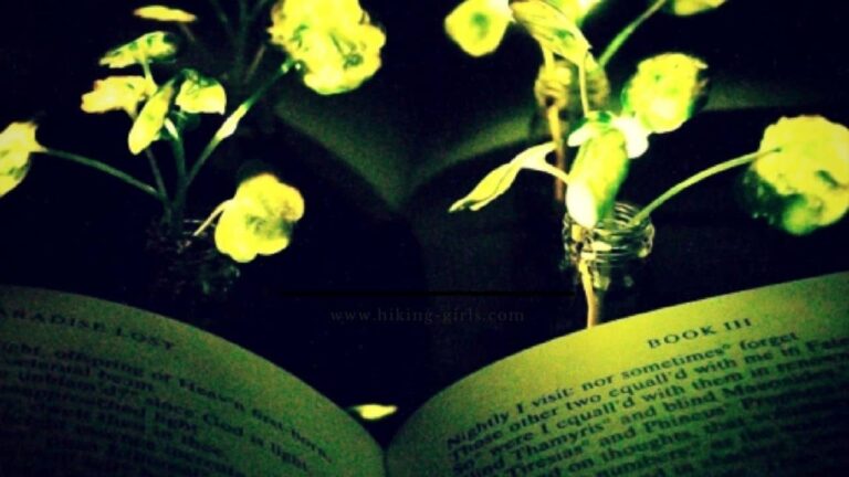 MIT Ingenieros crean plantas que brillan